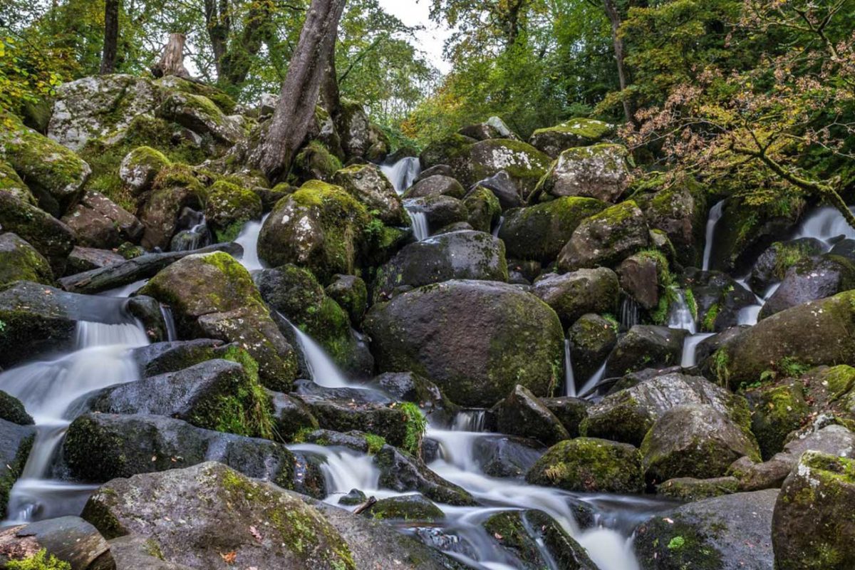 Becky Falls woodland park and waterfall on Dartmoor